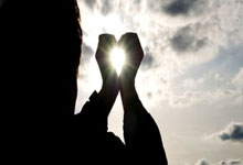 Flower，flower歌曲