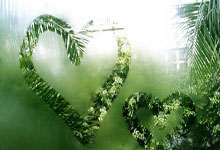 花店开业海报，花店开业宣传文案