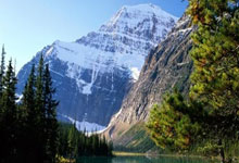 学裱花去哪里学比较好，学裱花去哪里学比较好呢